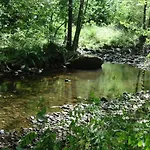 La Chouette Au Bouleau - Break En Ardennes Hargnies
