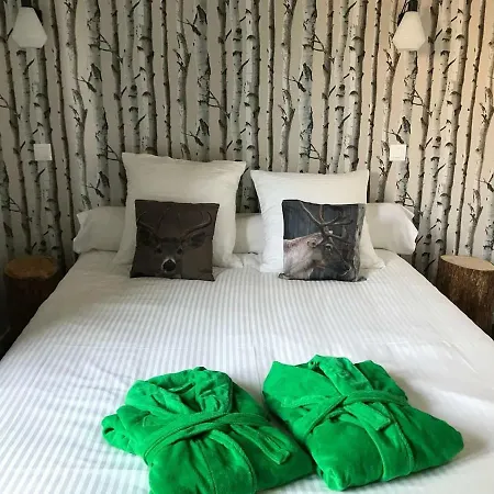 La Chouette Au Bouleau * Hargnies