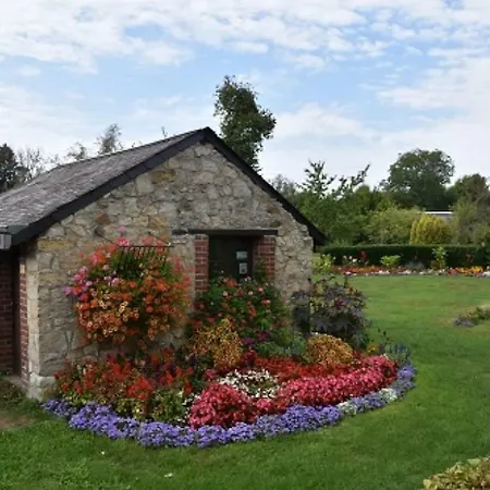 La Chouette Au Bouleau *