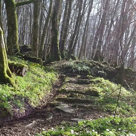 度假居 La Chouette Au Bouleau - Break En Ardennes *