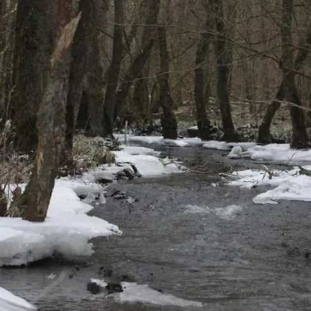 La Chouette Au Bouleau - Break En Ardennes *