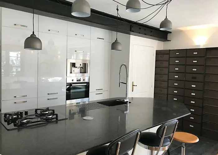 La Chouette Au Bouleau *