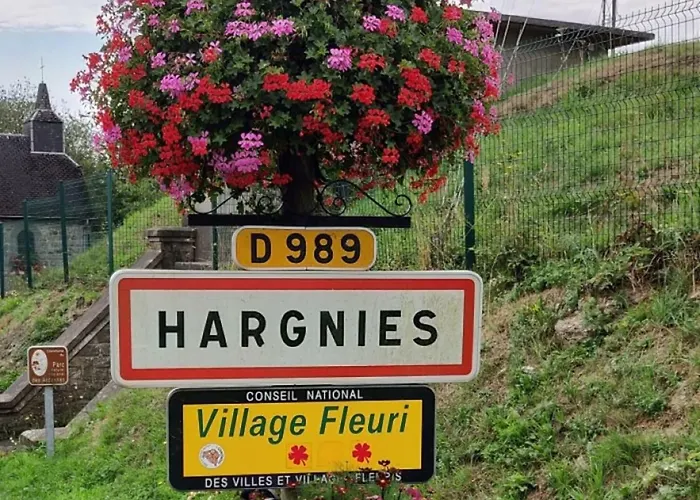 La Chouette Au Bouleau *