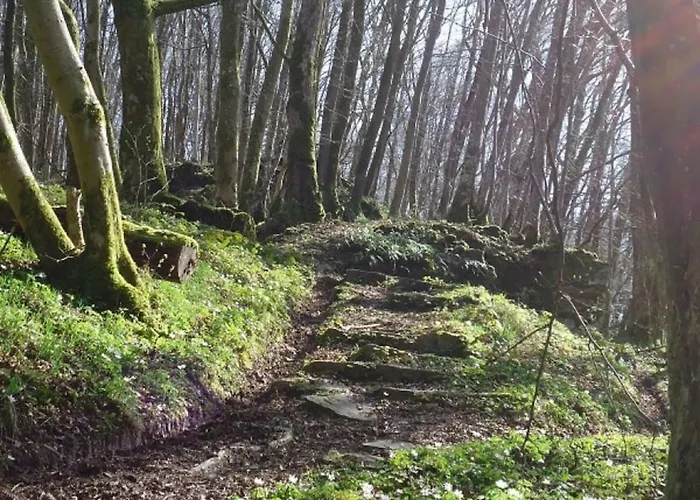 Holiday home La Chouette Au Bouleau *